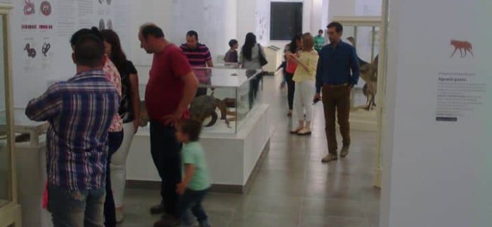 Conferencia sobre Legislación de Museos de Argentina y el NEA