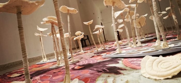 Llega la muestra «Páramo Artrópodo» al Museo Vidal