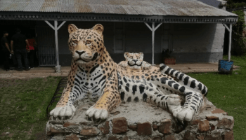 Museo Natural Mesopotámico Mercedes Corrientes