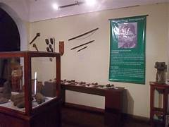 Museo Histórico Natural Virasoro