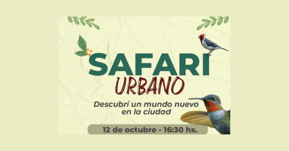 Safari por la Costanera, la propuesta del Museo de Ciencias Amado Bonpland