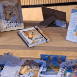 Visita al Museo de Arte Contemporáneo de Corrientes